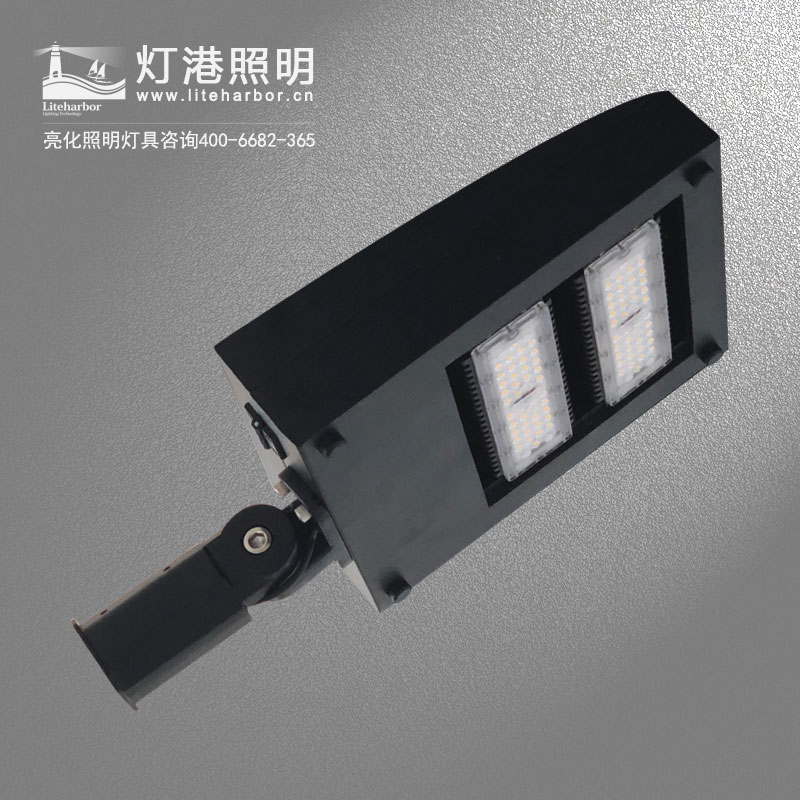 DG5101-LED路燈 太陽能智慧節能道路亮化led路燈專業廠家