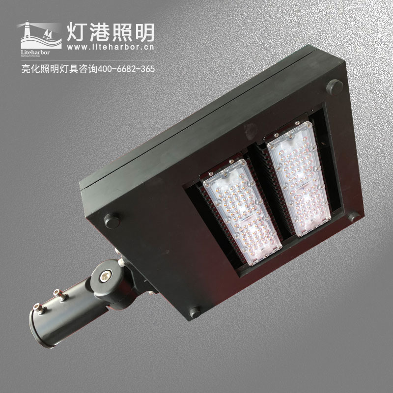 DG5102-LED路燈 戶外大功率防水道路亮化led路燈專業廠家